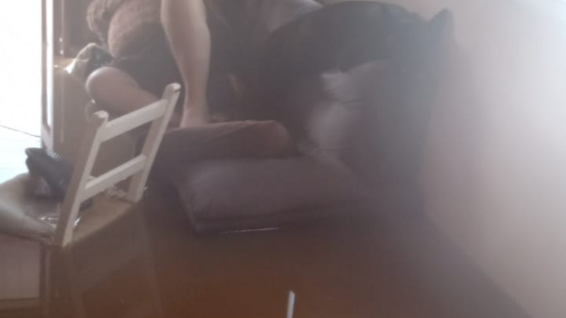 Ajude uma mãe atípica a reconstruir o lar para suas filhas!