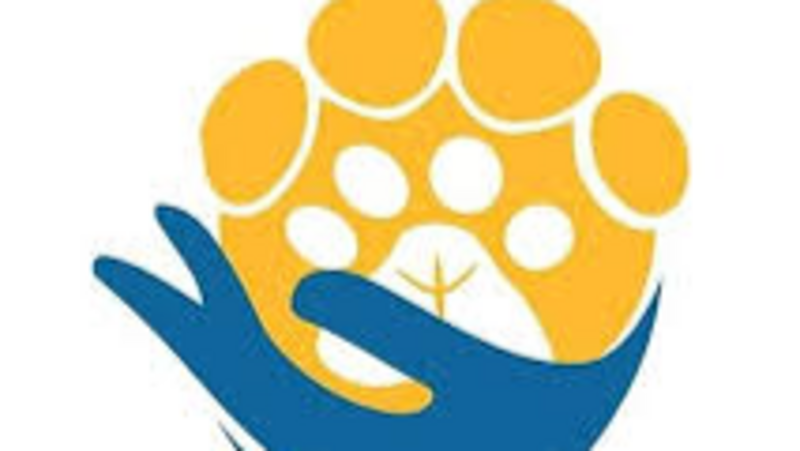 Motor Barco para ONG Pé de Chulé - Porto Alegre/RS