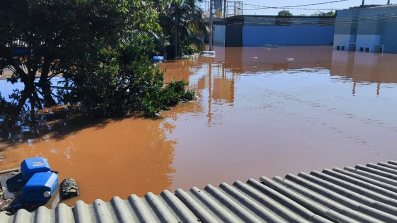 Reconstrução trabalho Douglas 