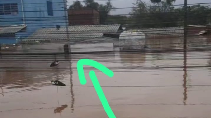 Reconstrução da Dignidade de uma família !!!