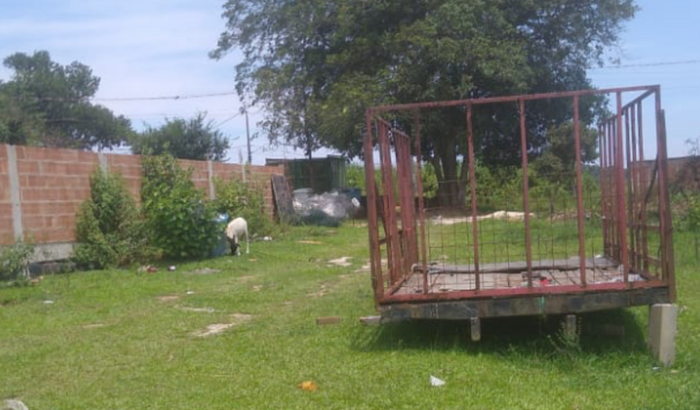 Ajude a Família Teon