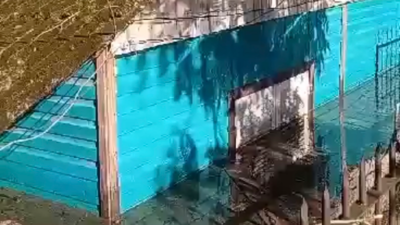 Ajude a reconstruir nosso lar!