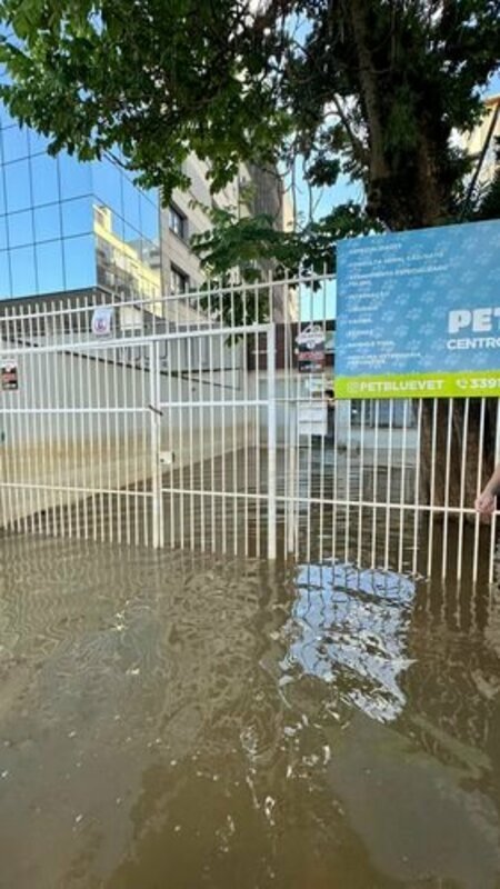 Reconstrução Pet Blue Centro Veterinário 24h