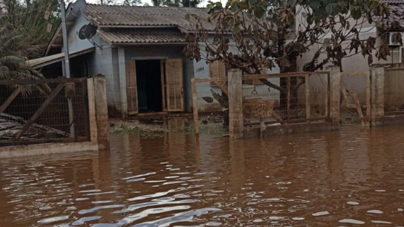 Ajude minha mãe  a reconstruir sua casa 🏠