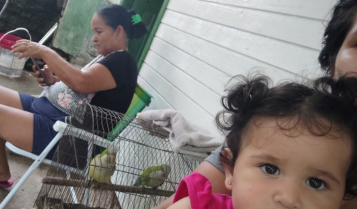 SOS. Ajude os desabrigados