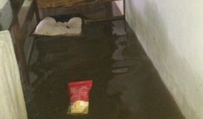 Recomeçar a minha confeitaria 