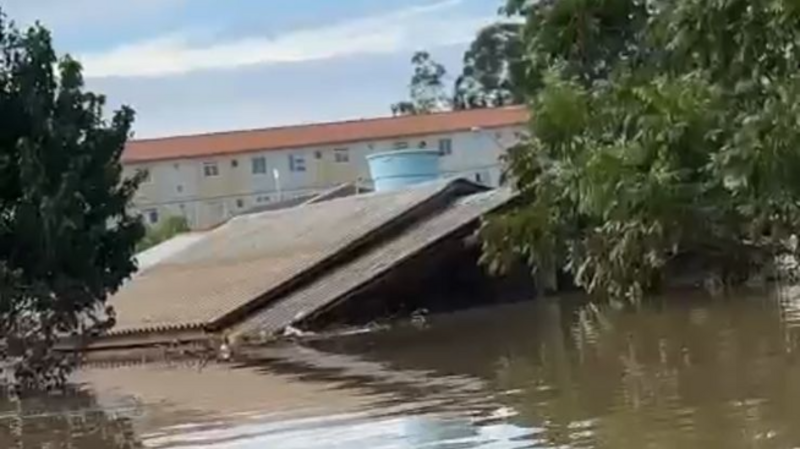 Ajude a Tata a reconstruir a casinha dela.