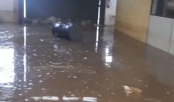 Recomeço Ideal Suprimentos