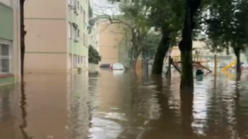 Ajude Carmen Masson- Enchente RS