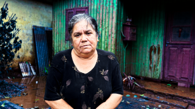 Ajude a Vera a reconstruir sua casa