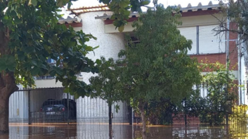 Reconstrução Familia Paiva, Bonetti, Lehn 