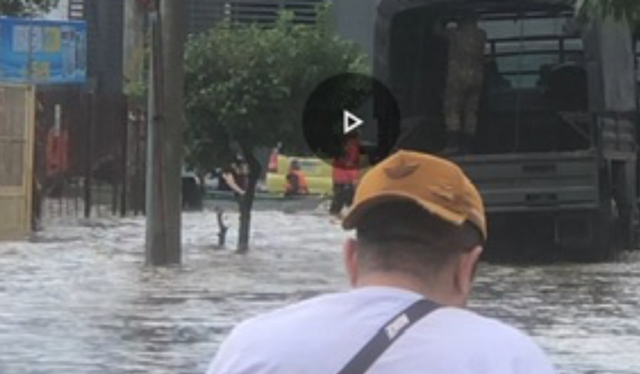 AJUDE A VIDRAÇARIA CECOM A VOLTAR A FUNCIONAR !