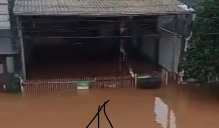 Reconstrução de nosso ganha pão 🙏