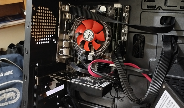 Solidariedade para o Peralttao