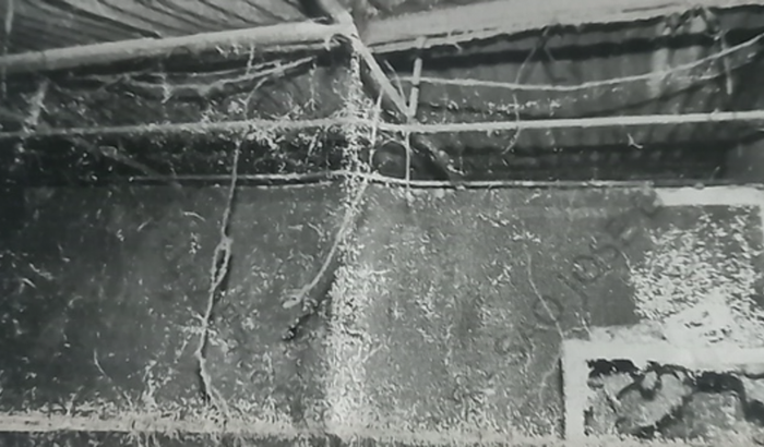 Incêndio no meu Box de trabalho 