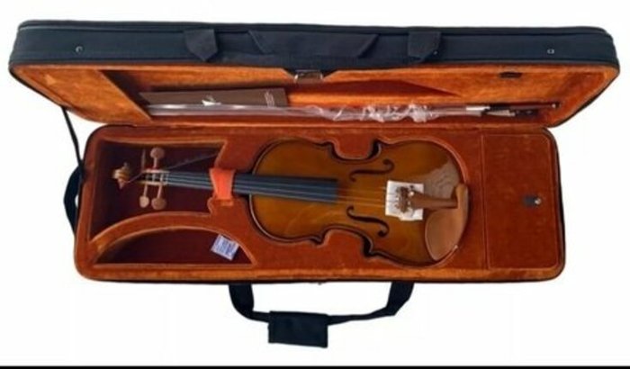 Violino