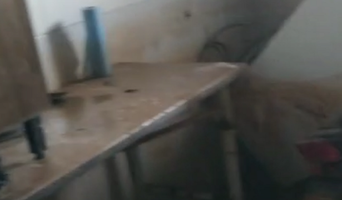 Volta do johnny sushi 