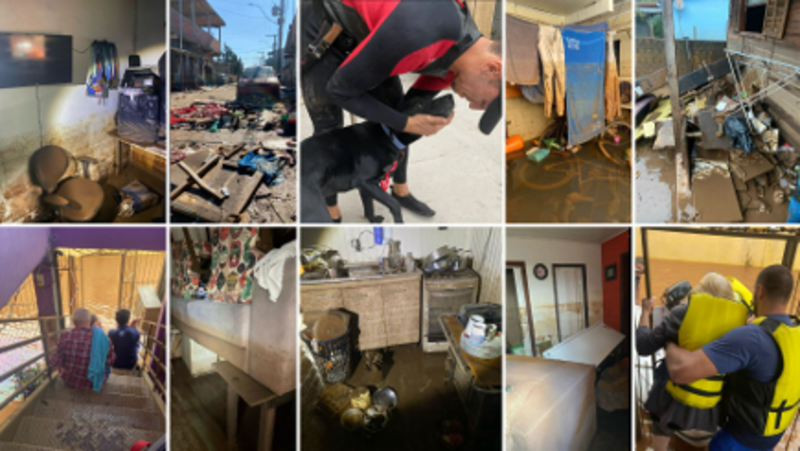 Ajude os Atletas de Remo a Reconstruir suas Vidas