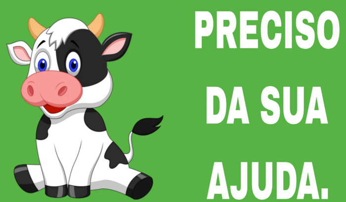 VIAGEM PARA JOGAR UM CAMPEONATO