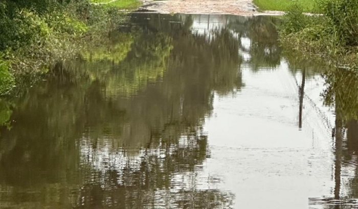 Ajuda para o Vet. Léo Cardoso!