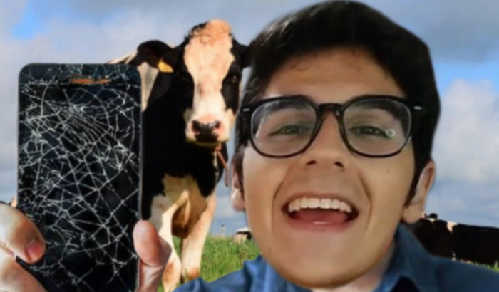 CELULAR NOVO DO BIDU