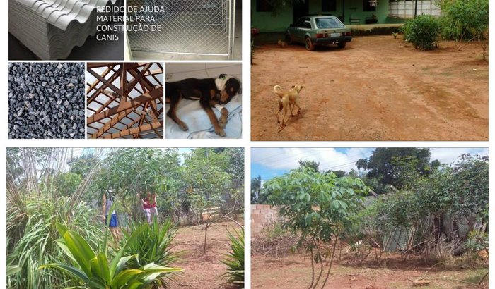 Construção de Canis