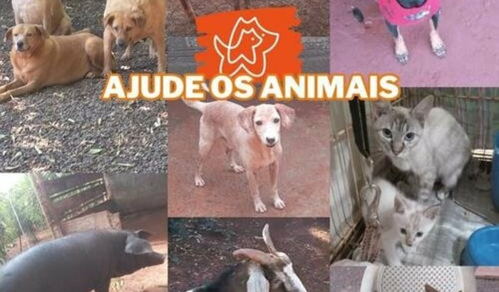 Nos ajude a continuar ajudando os animais 