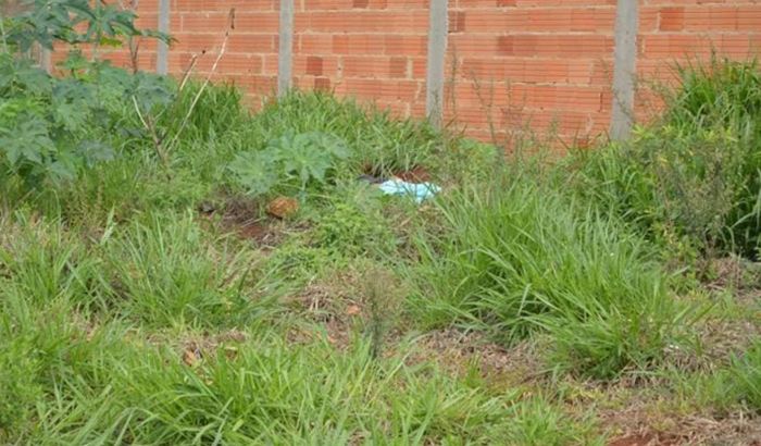 Ajude-nos a construir nosso barraco