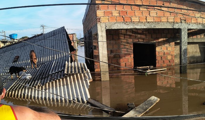 Ajuda para compra de barcos para auxiliar em resgates.