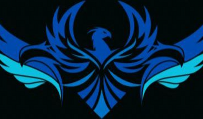 Time esportivo -Ararinhas 