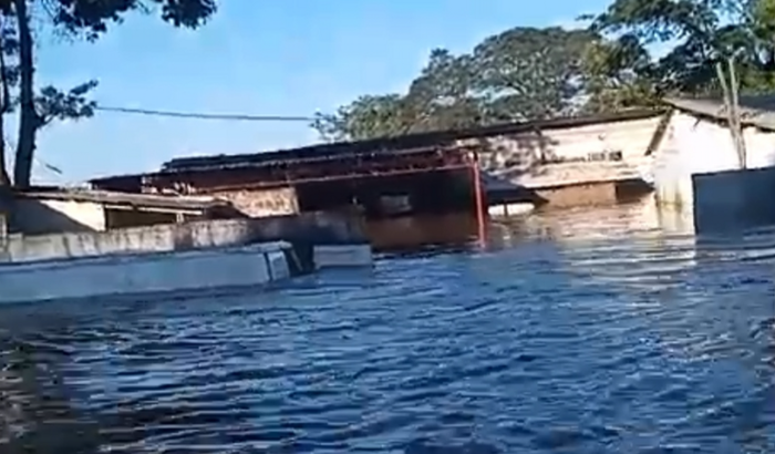 Nós ajude a recuperar nosso único meio de sustento. 