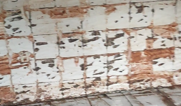 Solidariedade Studio Alessandra Drago