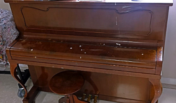 Ajude a Trazer um Piano para Minha Casa!