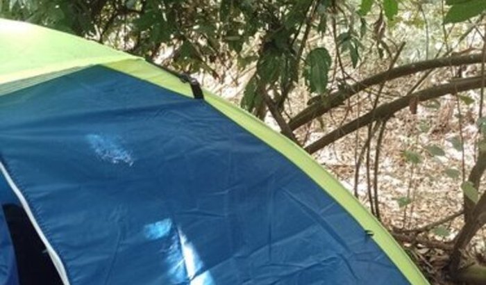 Ajuda para comprar alimentação até eu conseguir um emprego.