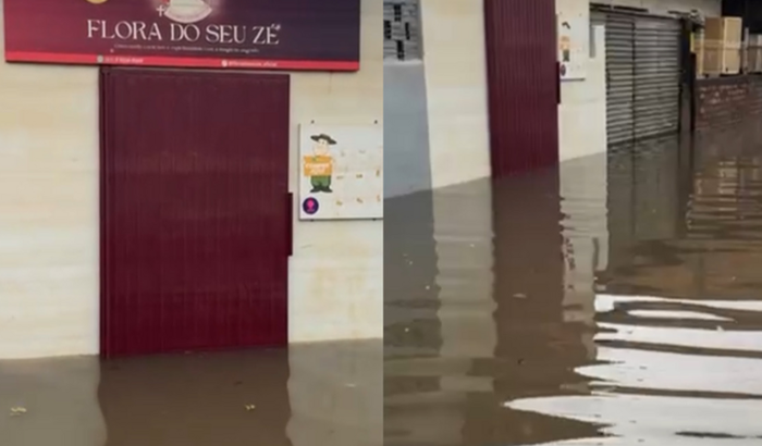 Ajude a Flora do Seu Zé