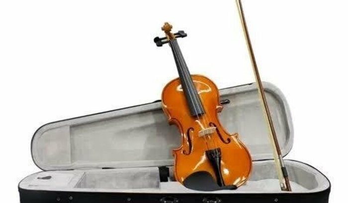 MEU SONHO É TOCAR VIOLINO 🎻 