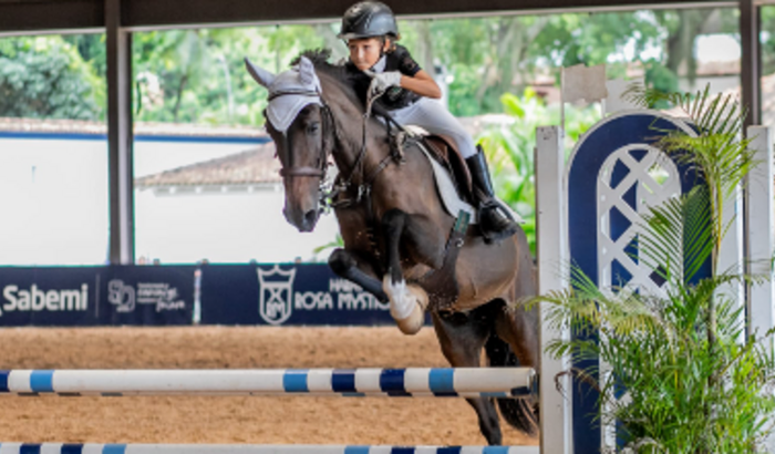 Me ajude a ir para o Campeonato Estadual 2024