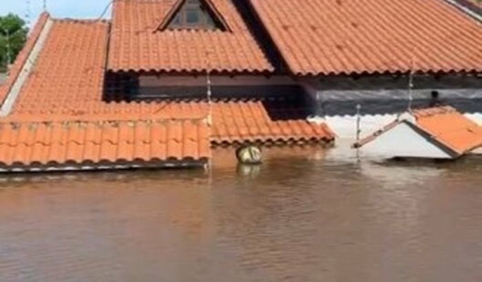 Nos Ajude a reconstruir nossos trabalhos e nossa casa!🙏🏻