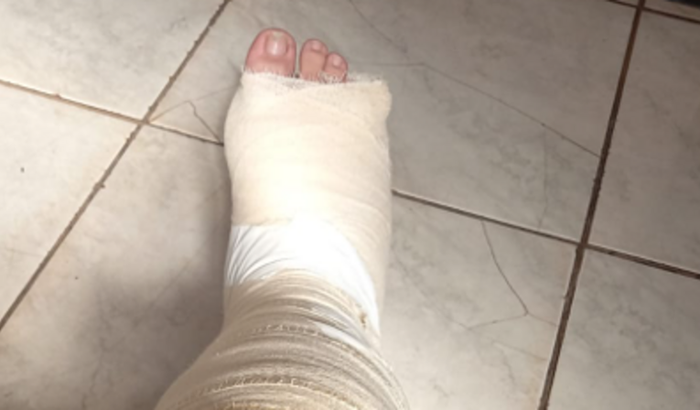 Ajuda para o nosso amiguinho Petsu!