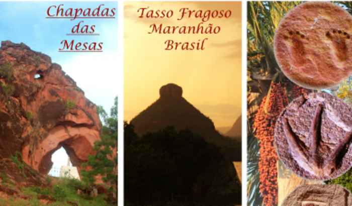 Ajude o Museu do Cerrado de Tasso Fragoso
