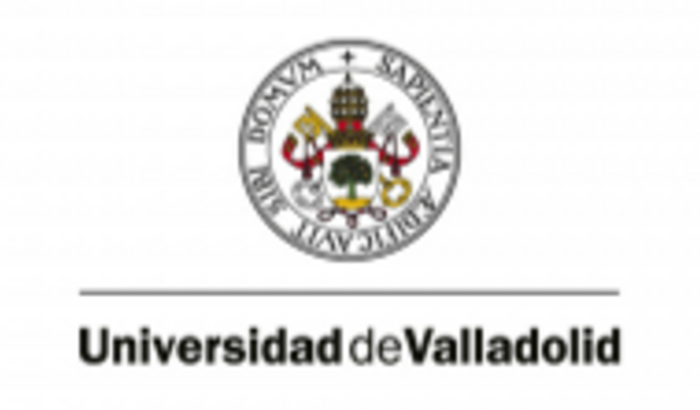 Uma bolsa, me ajude a fazer meu mestrado na Espanha!