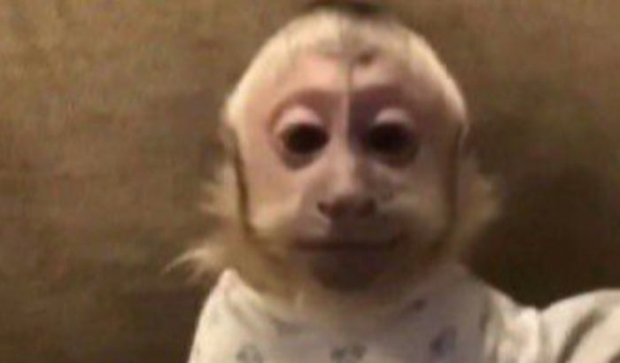 GB indo pra sao paulo