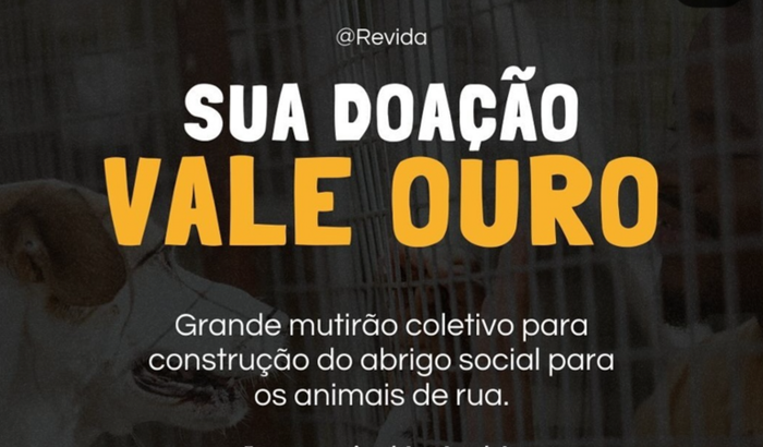 ONG REVIDA  - Construção de abrigo social para animais