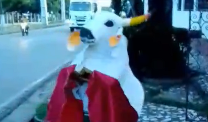 Ajude a Comprar o Boizinho do Matheus!