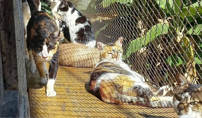 Ajuda para mudança da Cabana!