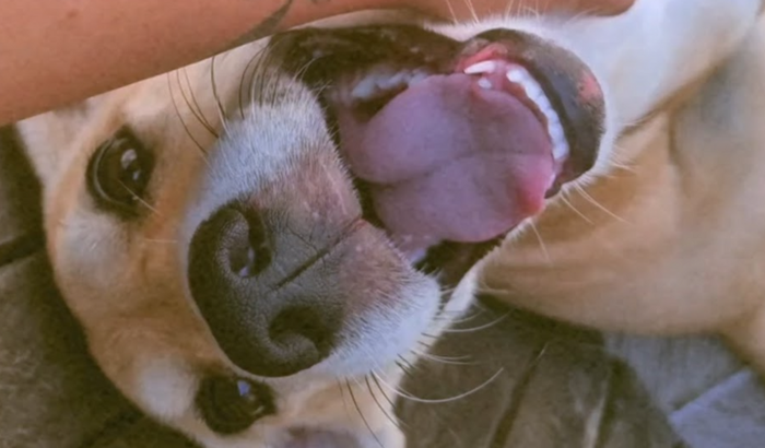 Ajuda para manter a minha casa