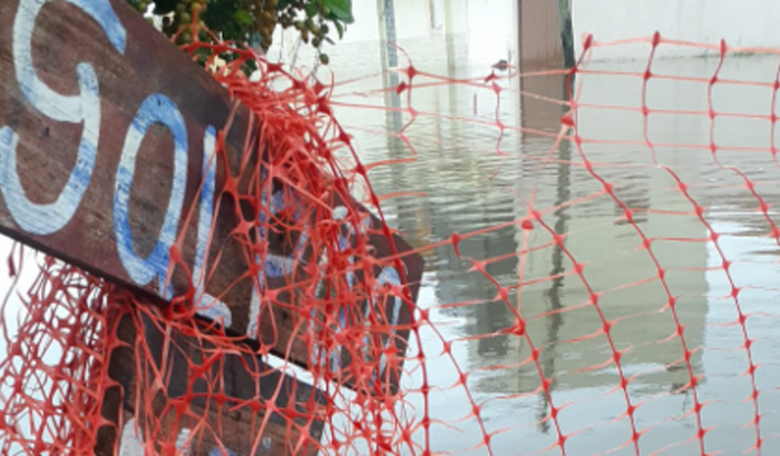 Ajude o Galpão a reerguer uma nova bandeira 