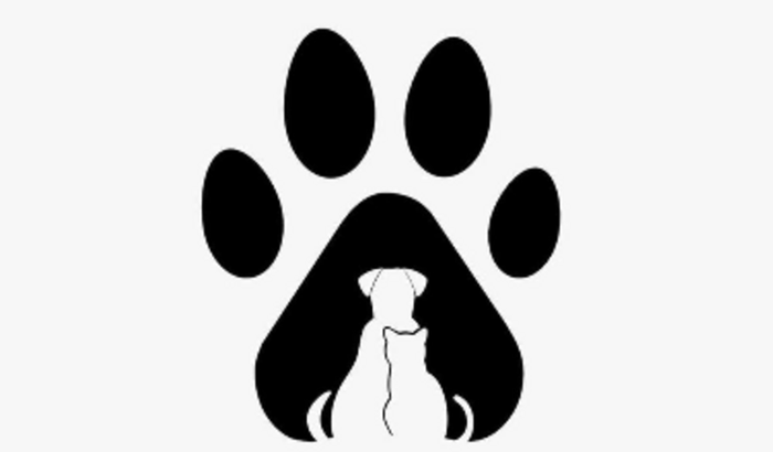 Ajuda para o Projeto Cão Comunitário continuar