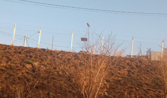 Ajudar para comprar fiação do projeto Agrofloresta que foi incendiado criminalmente