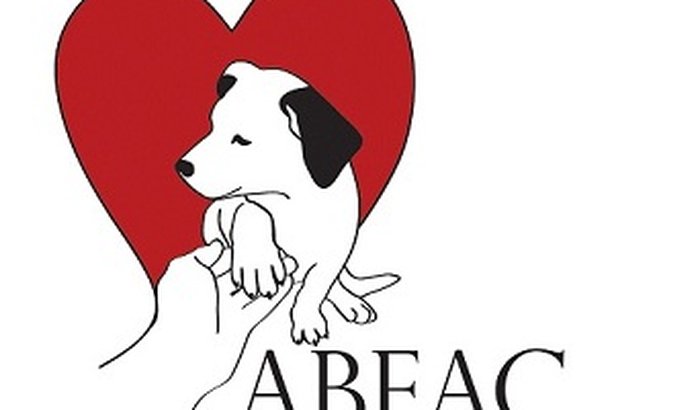 Vakinha para 1200 cães e 80 gatos